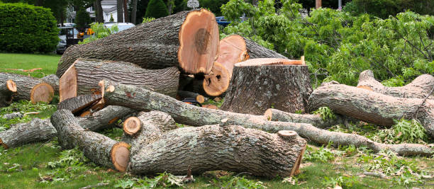 Best Tree Trimming and Pruning  in Southwest Greensburg, PA