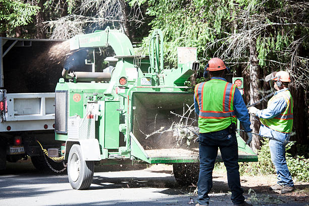 Best Utility Line Clearance  in Southwest Greensburg, PA